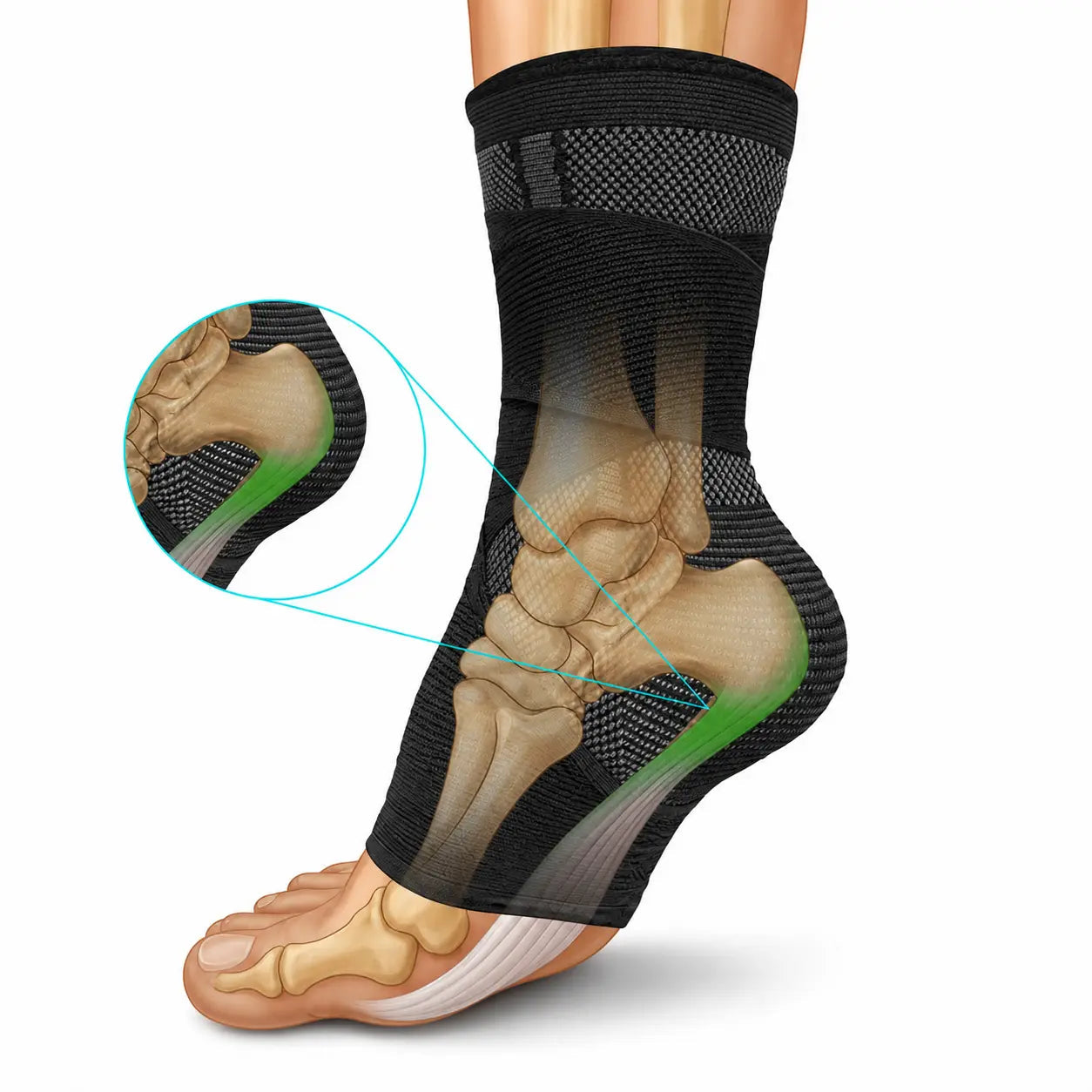 Ferse Anatomie mit Bandage