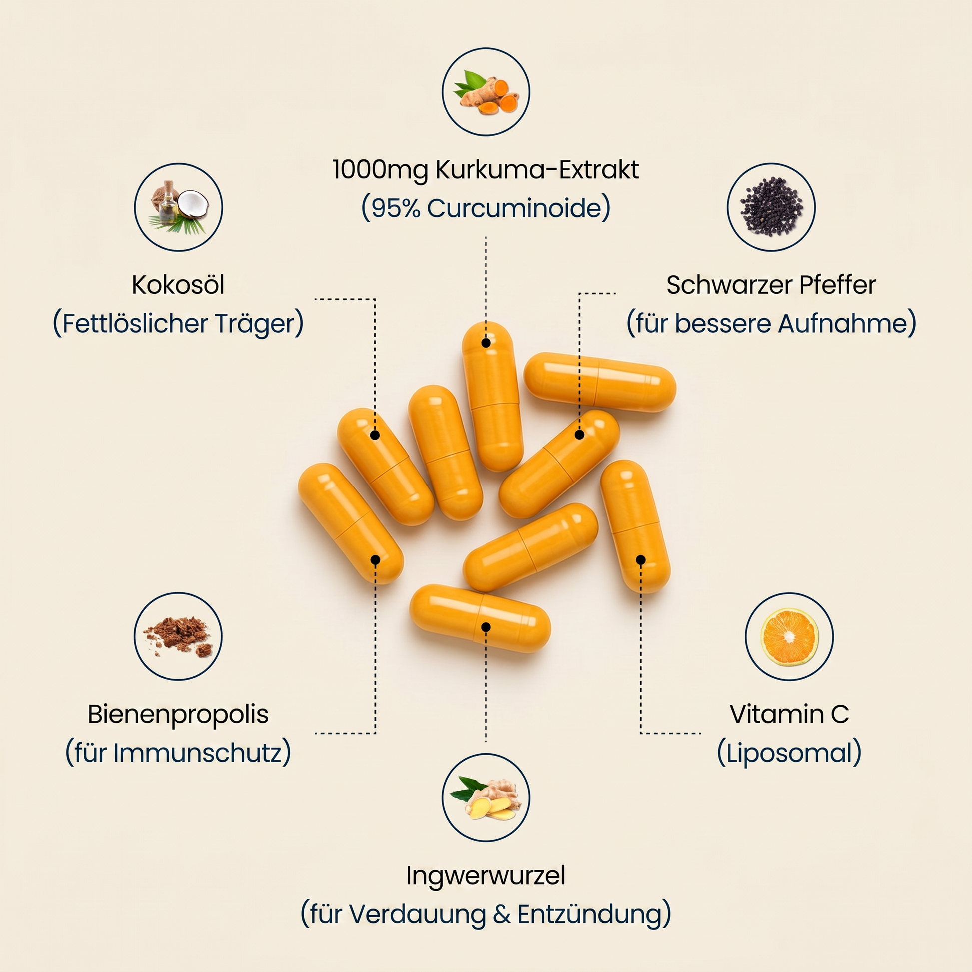 Kurkuma Inhaltsstoffe Infografik