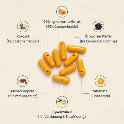Kurkuma Inhaltsstoffe Infografik
